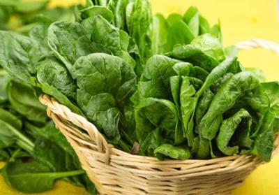 Разблокировка силы органического порошка шпината: польза для здоровья, советы по хранению и рецепты
