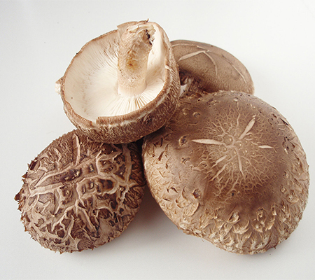 Изучение пользы для здоровья экстракта порошка гриба шиитаке